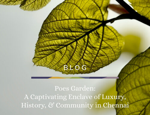Poes Garden: A Captivating Enclave of Luxury, History, and Community in Chennai